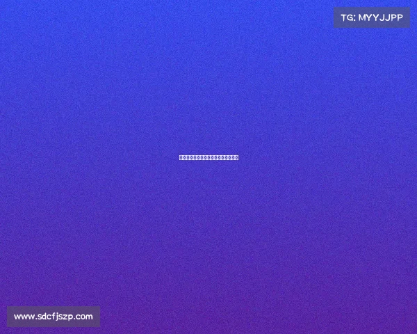 龙舟赛事专业服务提升竞技品质新体验